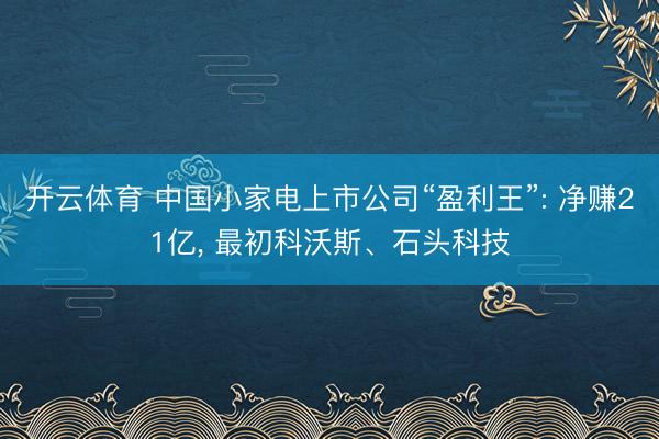 开云体育 中国小家电上市公司“盈利王”: 净赚21亿， 最初科沃斯、石头科技