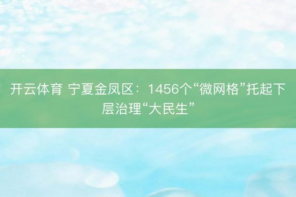 开云体育 宁夏金凤区：1456个“微网格”托起下层治理“大民生”
