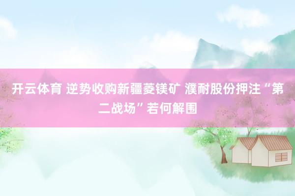 开云体育 逆势收购新疆菱镁矿 濮耐股份押注“第二战场”若何解围