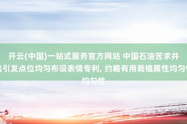 开云(中国)一站式服务官方网站 中国石油苦求井炮引发点位均匀布设表情专利， 约略有用栽植属性均匀性